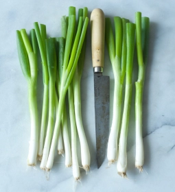 Verse marmeruitjes als ingredient voor Daily Dog hotdogs