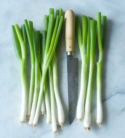 Verse marmeruitjes als ingredient voor Daily Dog hotdogs
