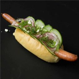 Daily Dog Tzatziki Dog hotdog met verse tzatziki