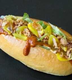 Daily Dog BeeBeeQue gourmet hotdog met toppings